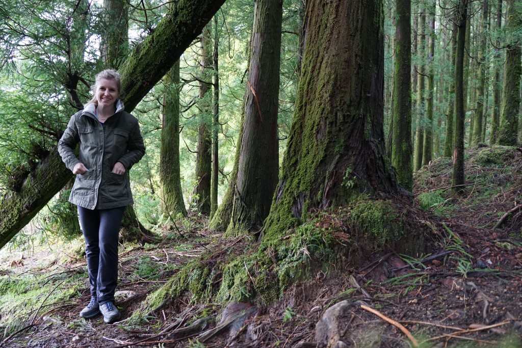 Azore_Islands_Danielle_Forest