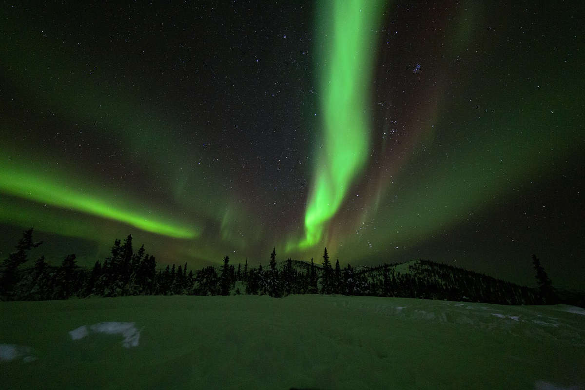 green aurora lights