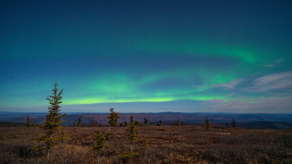 green northern lights over grass field