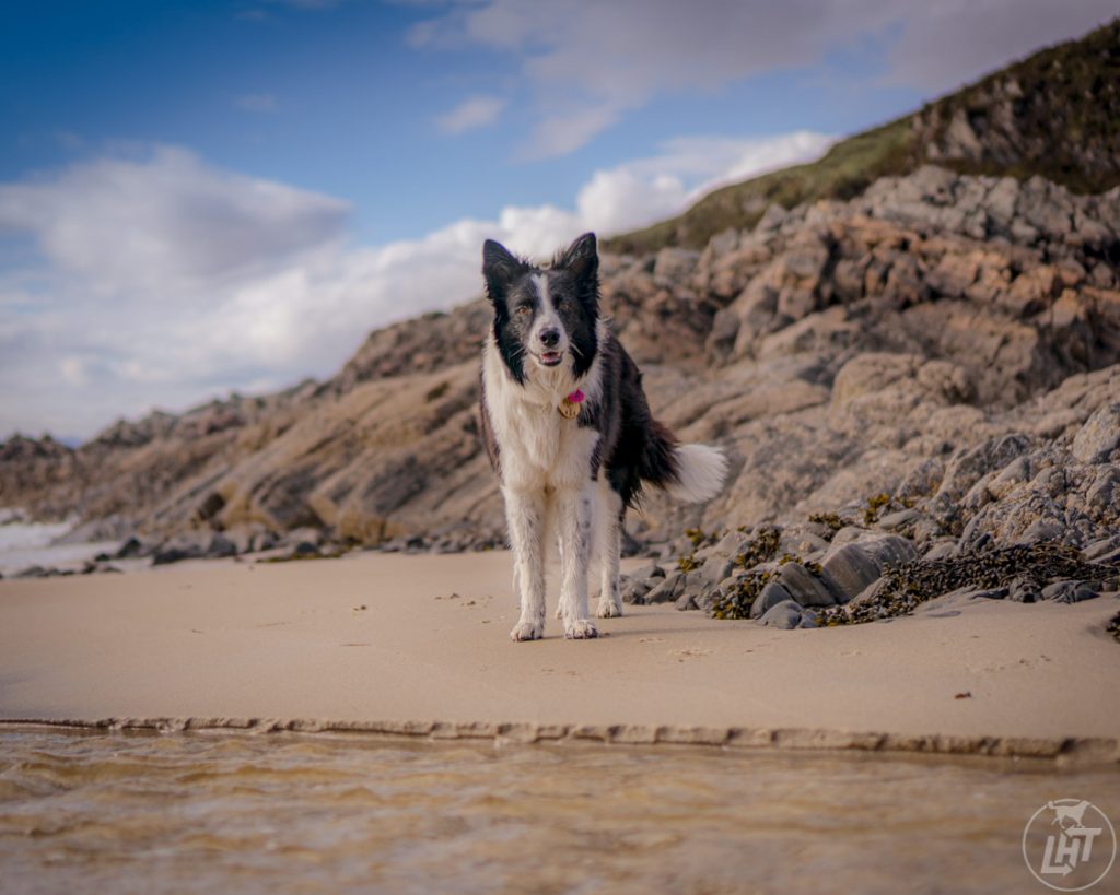 Riia Arisaig Beach