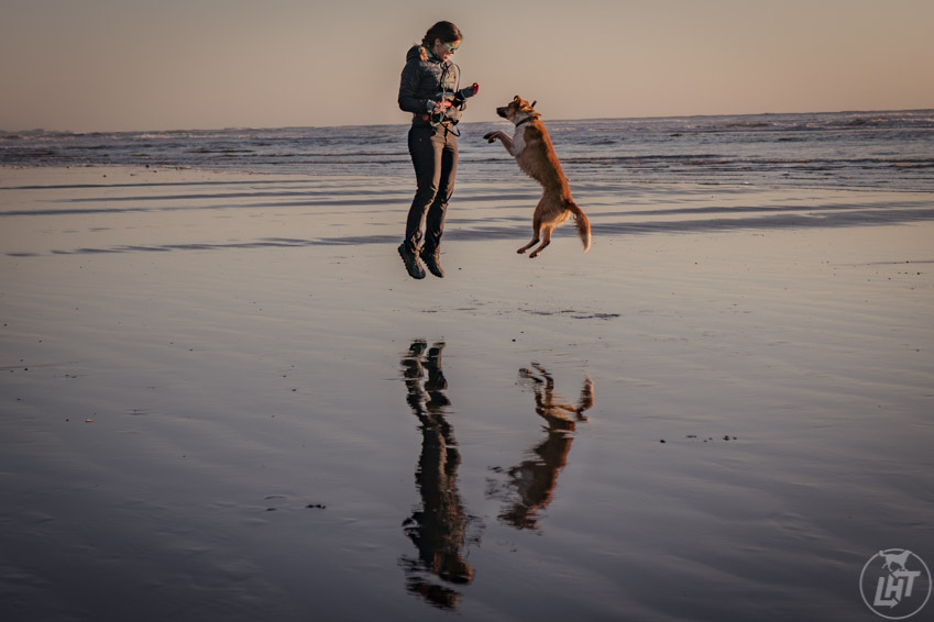 Ruby Beach You Jump I Jump Jack