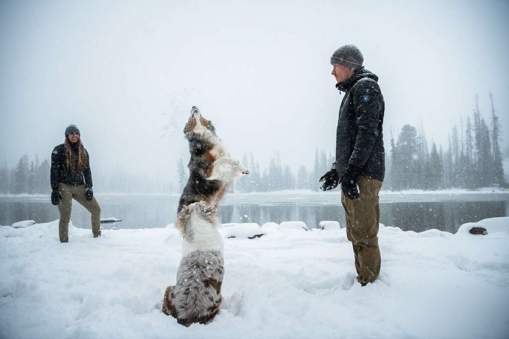 two people and two dogs on snowy ground