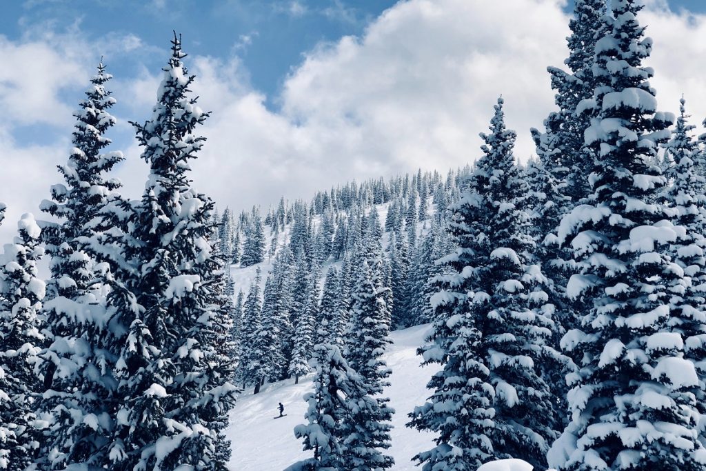 snow covered pine trees under blue sky during daytime