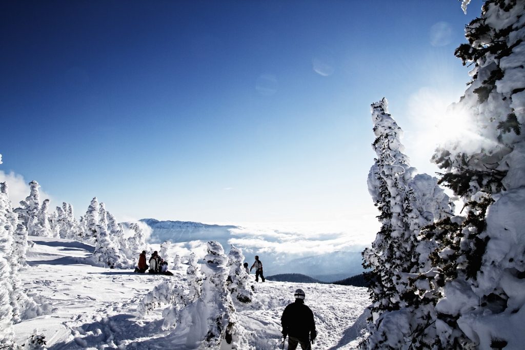 people on the snowy ground facing blue sky