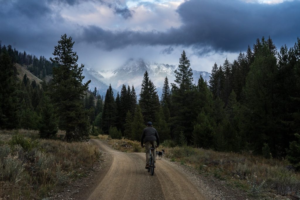man in K&Uuml;HL jacket and K&Uuml;HL pants riding bike on trail surrounded with pine trees