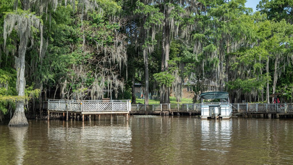 white pontoon boat on water in swamp