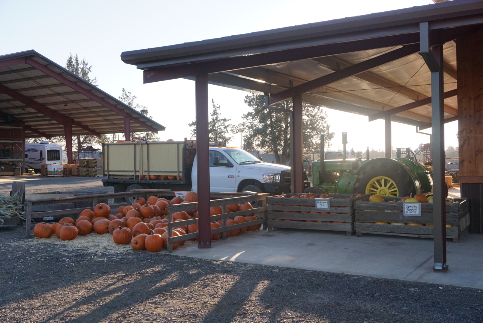 Pumpkin Vibes From Harvest to Table to Compost 2