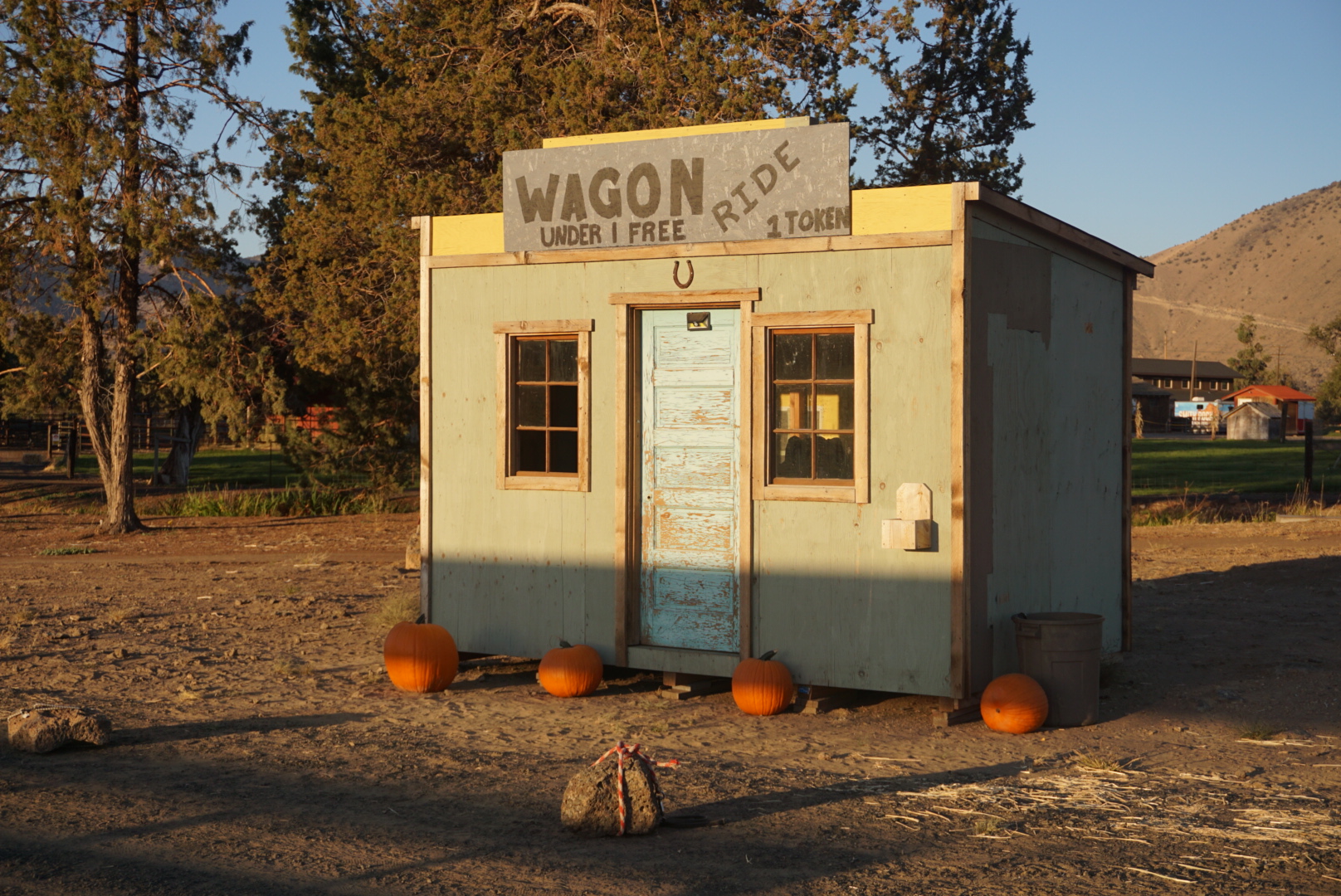 Pumpkin Vibes From Harvest to Table to Compost 4